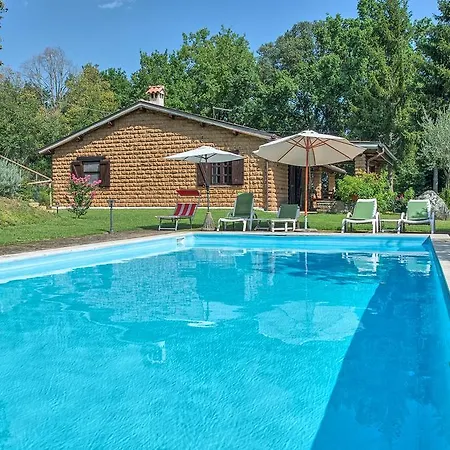 Letizia Villa *